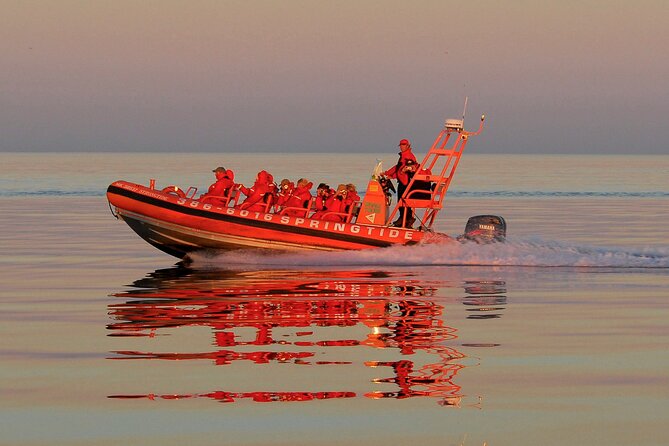 Sunset Zodiac Tour - Key points to know before you book