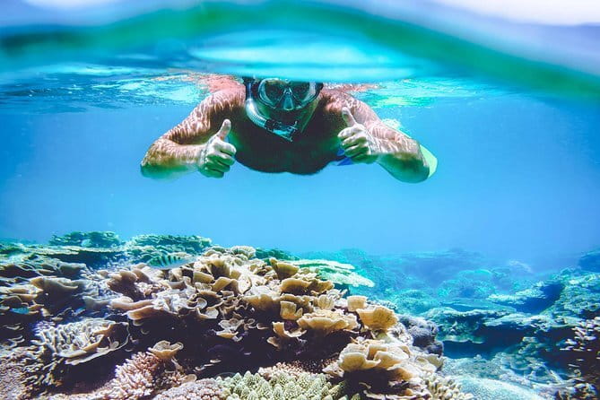 Surin Island Snorkeling by Speedboat from Khao Lak - Five things to know before you book