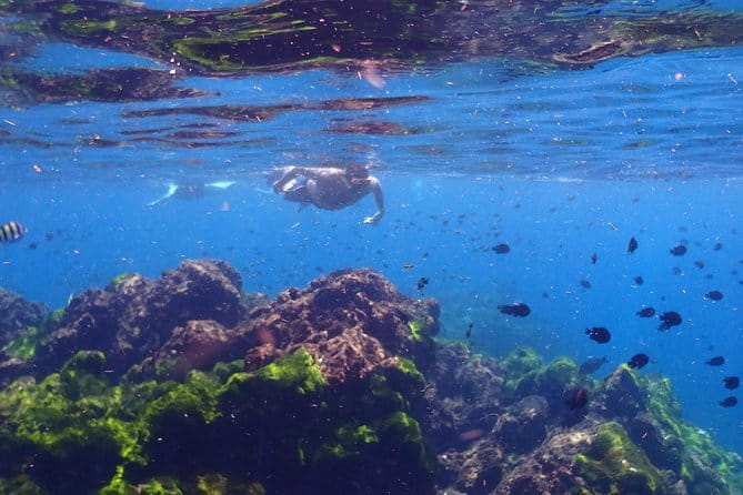 Surin Island Snorkeling by Speedboat from Khao Lak - What the speedboat journey is really buying you