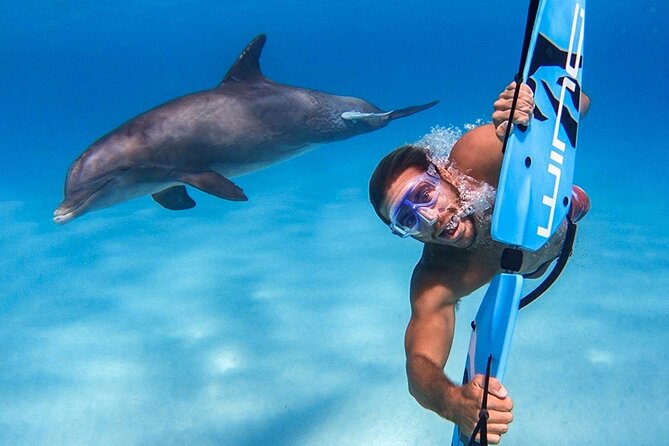 Swim with dolphin By Private Speed Boat and Sub wing Game - Hurghada - Pickup, timing, and the return to shore