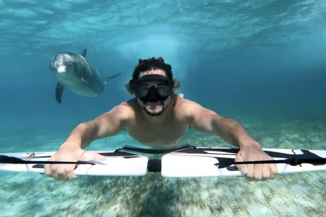 Swim with dolphin By Private Speed Boat and Sub wing Game - Hurghada - Booking details and cancellation rules