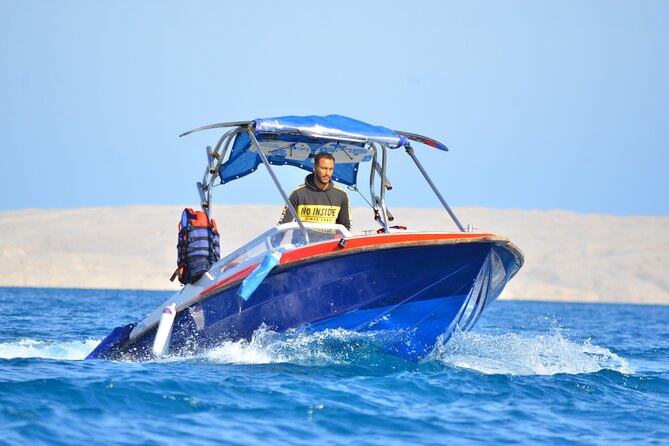 Swim with Dolphins Semi Private Speedboat Sea Tour - Hurghada - Who should book this Hurghada boat trip?