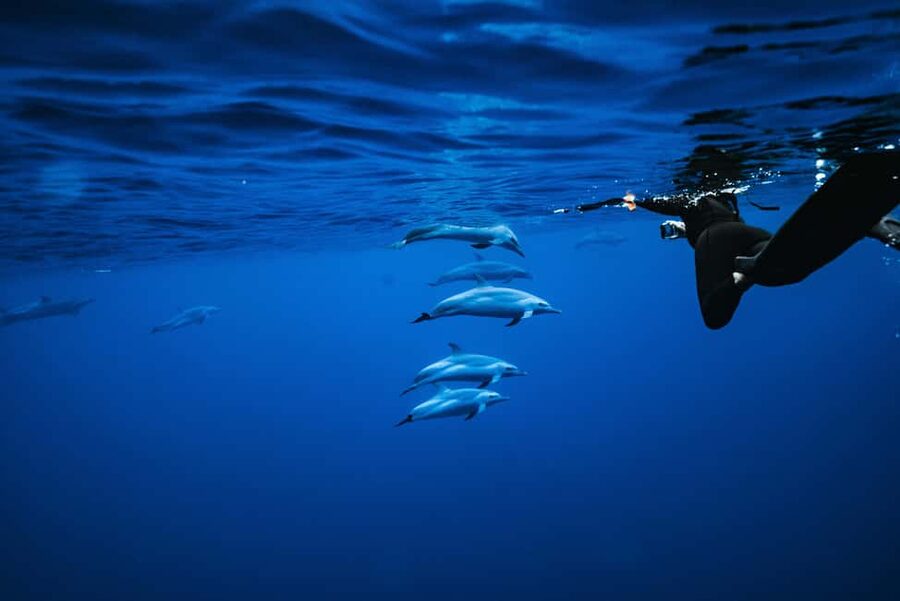 Swim with Wild Dolphins Oahu Speedboat Snorkeling Adventure! - A small boat and a big piece of ocean