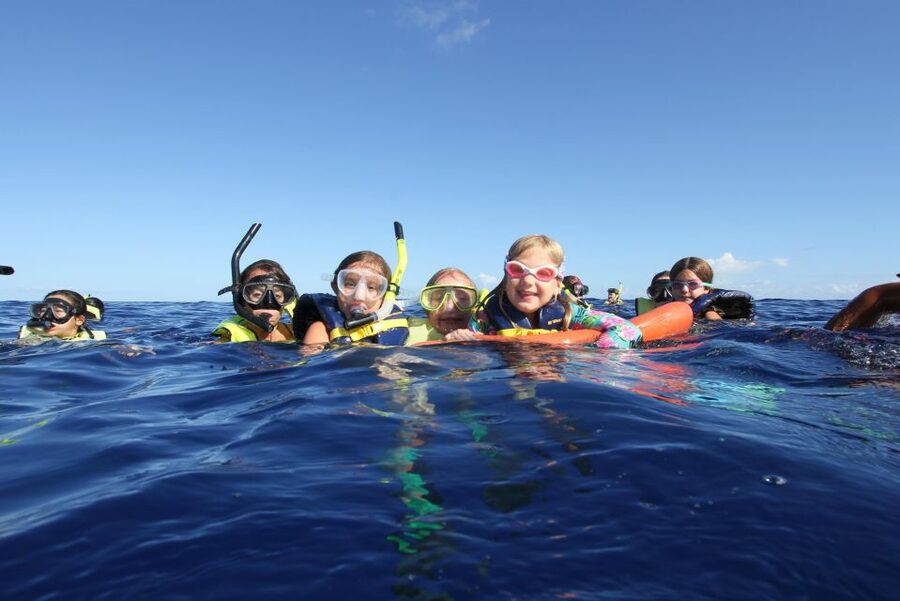 Swim with Wild Dolphins Oahu Speedboat Snorkeling Adventure! - Searching for dolphins along Oahu’s west coast