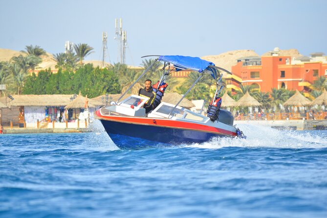Swimming with Dolphins by Private Speed Boat - Hurghada - What the private format adds