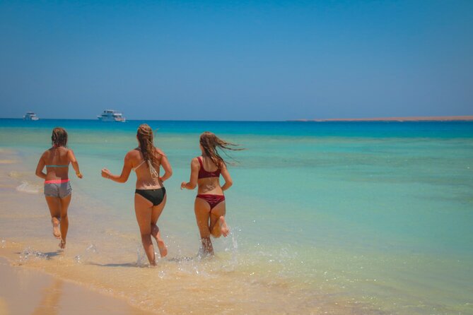 Swimming with Dolphins by Private Speed Boat - Hurghada - Who will enjoy this trip most?
