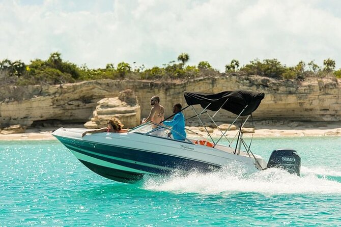 Swimming with Dolphins by Private Speed Boat - Hurghada - Cancellation and booking details