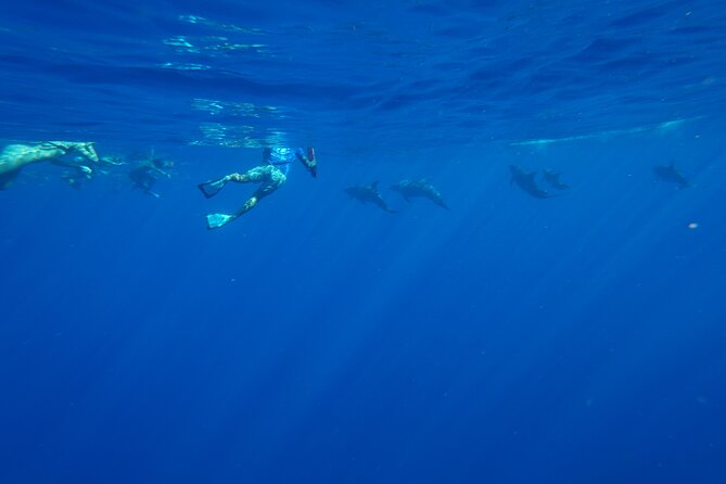 Swimming with Wild Dolphins Speedboat Adventure on Oahu - West Oahu views and seasonal whales
