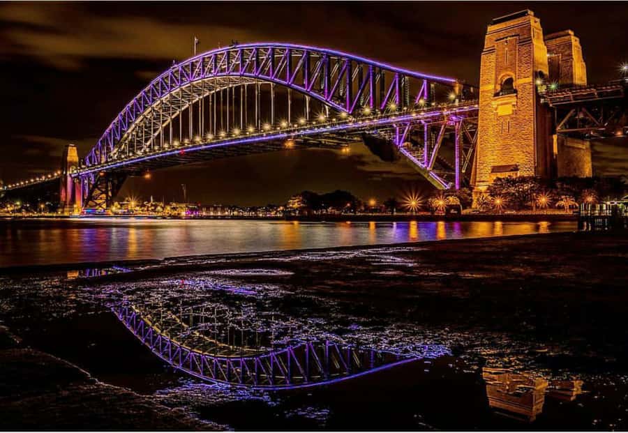 Sydney Harbour: 30 Minute Slow Jet Boat Vivid Cruise - What $41 buys you