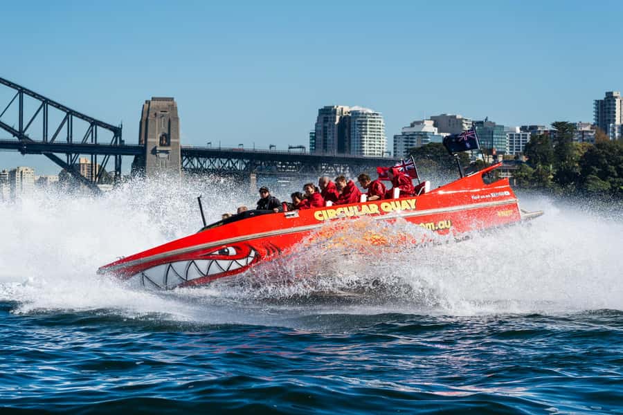 Sydney: Jet Boat Adventure Ride from Circular Quay - The best views come between the spins