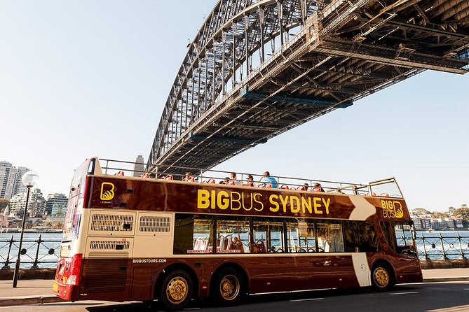 Sydney Speed Boat Adventure Harbour Tour - Rose Bay Beach and Sydney’s island views