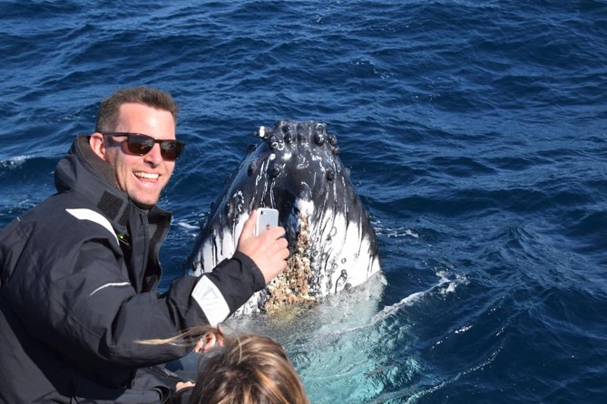 Sydney Whale-Watching by Speed Boat - Who should book Ocean Extreme?