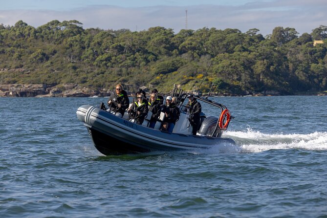 Sydney Whale Watching on Small RIB - A small boat changes the whale-watching experience