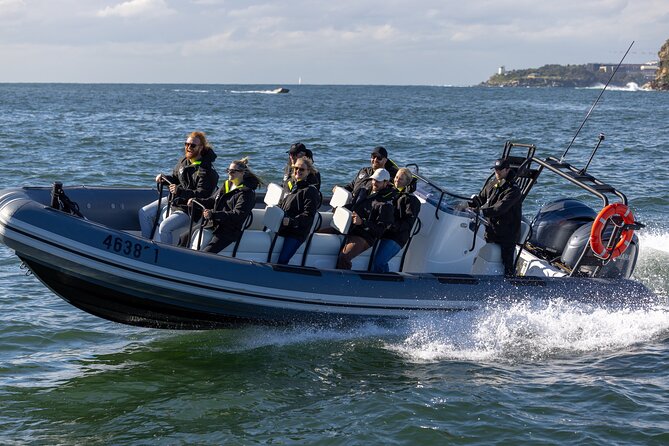 Sydney Whale Watching on Small RIB - Spending about 85 minutes in the whale search area