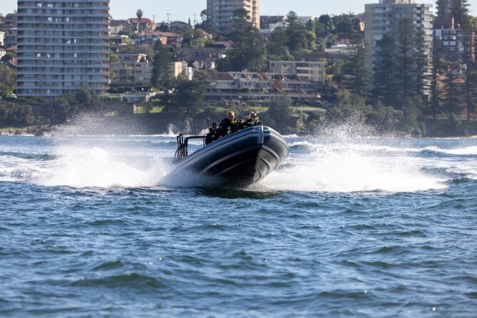 Sydney Whale Watching on Small RIB - Why the small group can feel more personal