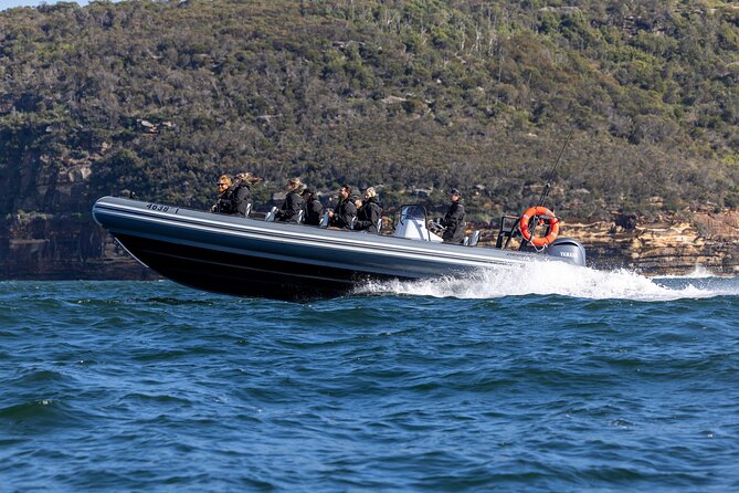 Sydney Whale Watching on Small RIB - Is $98.93 a fair price?