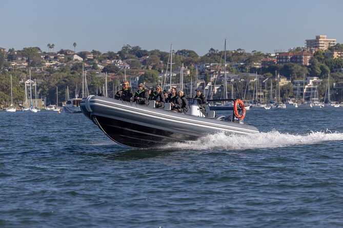 Sydney Whale Watching on Small RIB - Who will enjoy this Sydney whale tour most?