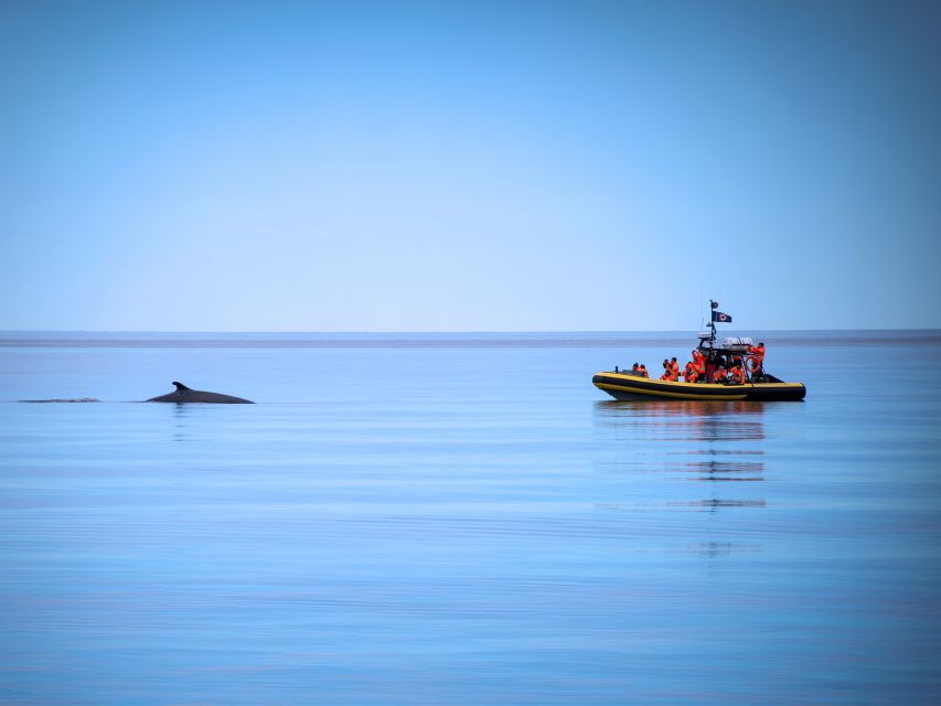 Tadoussac/Charlevoix: Whale Watching Zodiac Tour - The route from Tadoussac to the open St. Lawrence