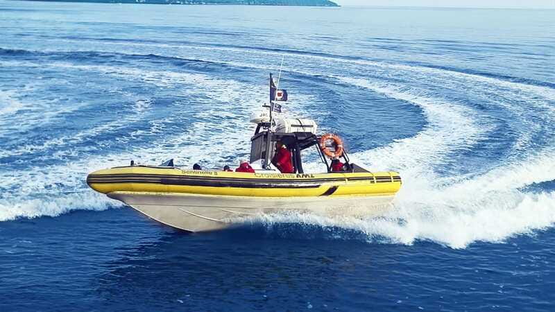 Tadoussac/Charlevoix: Whale Watching Zodiac Tour - The wildlife you may see