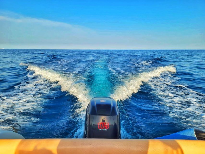 Taggia: Sanremo Sightseeing Speedboat Tour with Swim Stops - Who will enjoy this afternoon most