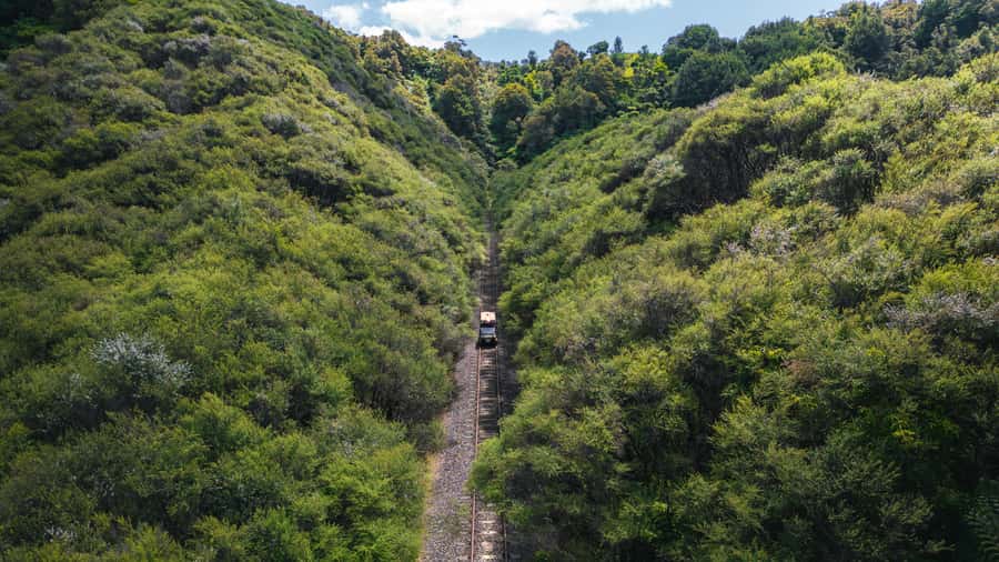 Taumarunui: Railcart and Jetboat Adventure with lunch - Key points to know before booking