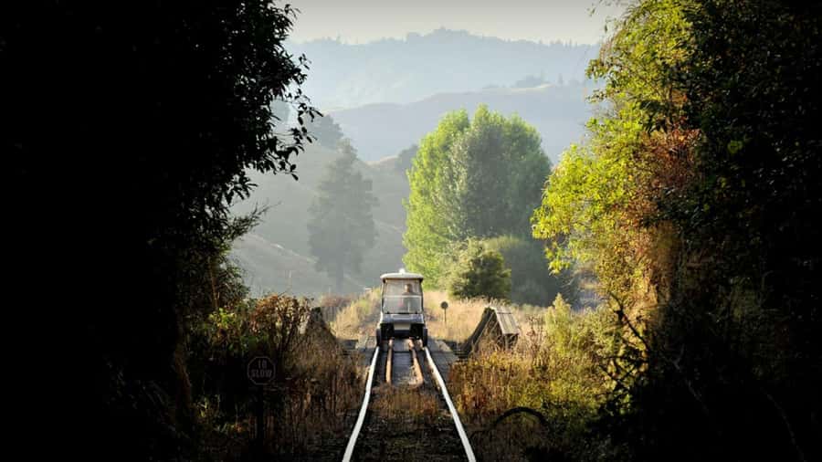 Taumarunui: Railcart and Jetboat Adventure with lunch - Why this Taumarunui day works so well