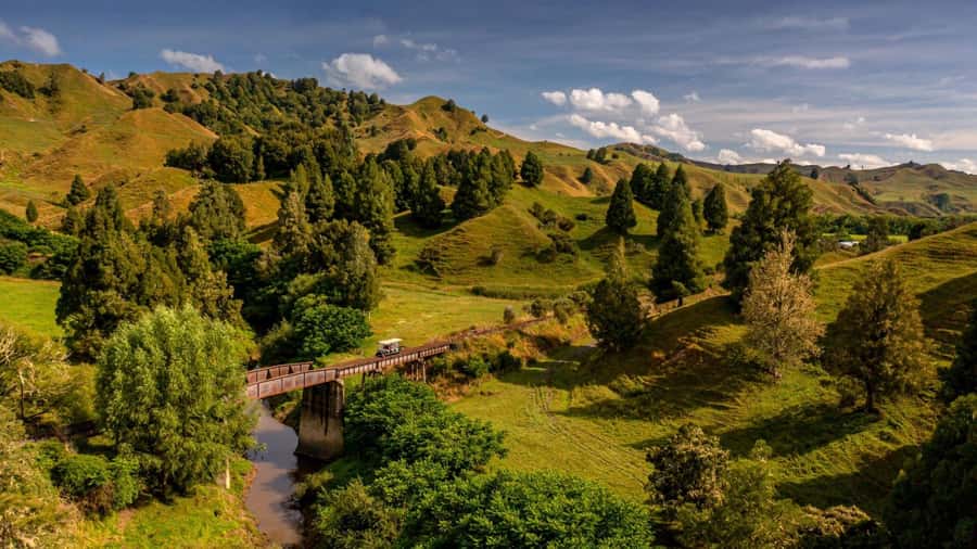 Taumarunui: Railcart and Jetboat Adventure with lunch - Riding the Forgotten World rail line