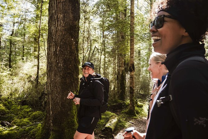 Te Anau Jetboat Experience, Kepler Guided Hike, Transport & Lunch - Why this Te Anau combination works so well