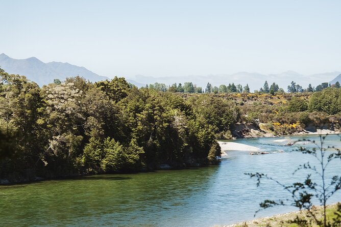 Te Anau Jetboat Experience, Kepler Guided Hike, Transport & Lunch - What the forest walk feels like