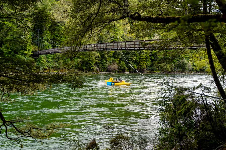 Te Anau: River Jet Boat and Bike Ride Tour with Local Guide - Is $143 a fair price?