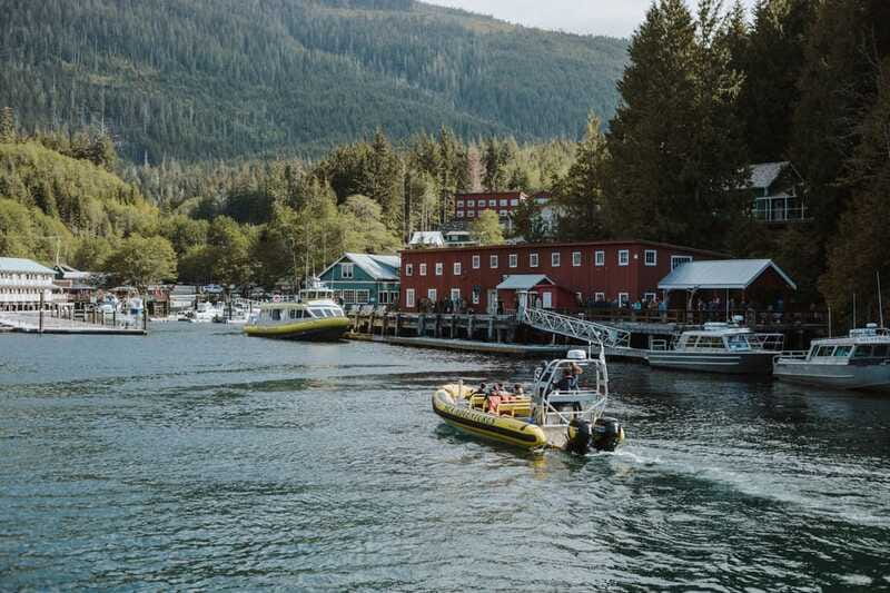 Telegraph Cove: 3-Hour Whale Watching Tour in a Zodiac Boat - Booking, timing, and cancellation details