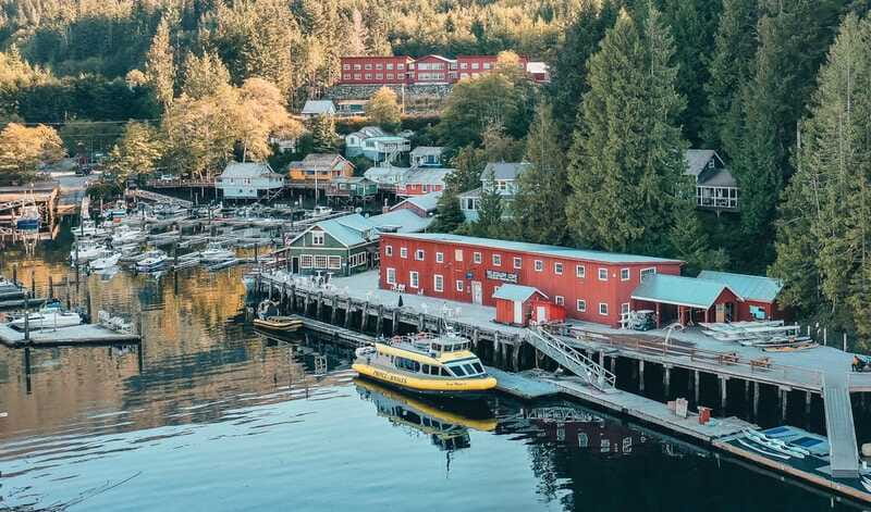 Telegraph Cove: 3-Hour Whale Watching Tour in a Zodiac Boat - Guides who add meaning to the sightings