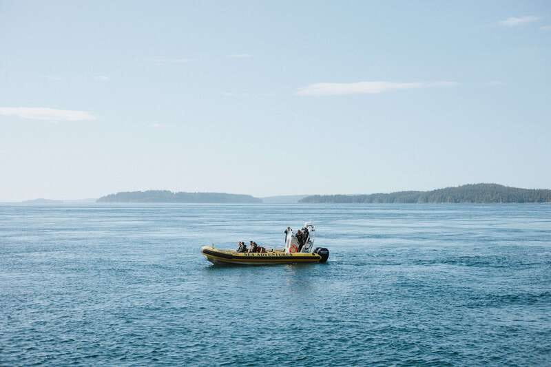 Telegraph Cove: 3-Hour Whale Watching Tour in a Zodiac Boat - Comfort, weather, and the real cost of the tour