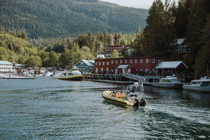 Telegraph Cove: 3-Hour Whale Watching Tour in a Zodiac Boat - The Zodiac ride is part of the attraction