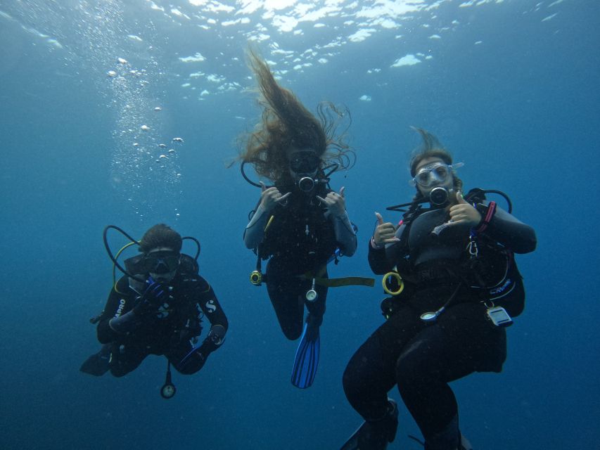 Tenerife: Puerto Colon Certified Scuba Dive by Speed Boat - The 30-minute briefing sets the tone