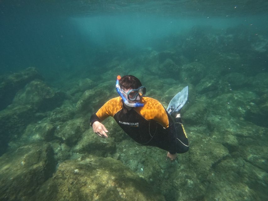 Tenerife: Puerto Colon Snorkel Safari by Speed Boat - About 50 minutes in the secluded bay