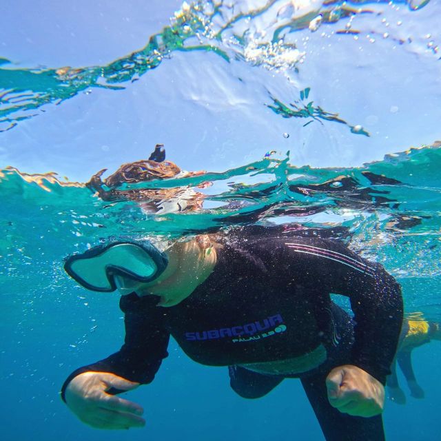 Tenerife: Puerto Colon Snorkel Safari by Speed Boat - Is $53 a fair price?