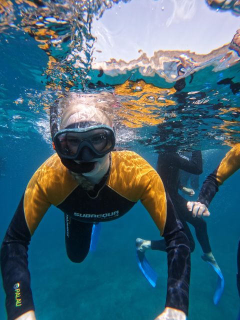 Tenerife: Puerto Colon Snorkel Safari by Speed Boat - Who will enjoy this most?