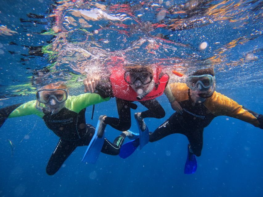 Tenerife: Puerto Colon Snorkel Safari by Speed Boat - Practical advice for a smoother outing