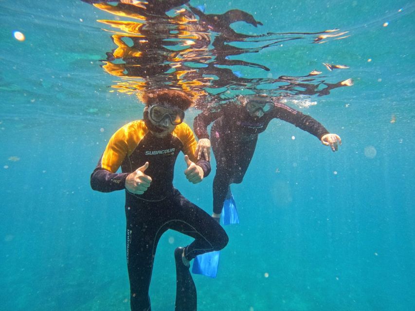 Tenerife: Puerto Colon Snorkel Safari by Speed Boat - The 15-minute ride along Tenerife’s southern coast