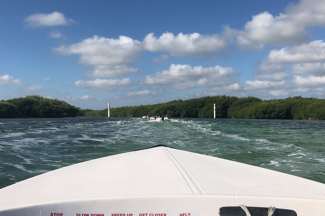 The Best Speedboat Tour In Cancun through Nichupte Lagoon, Snorkel included. - Why Nichupte Lagoon Makes a Good Half-Day Adventure