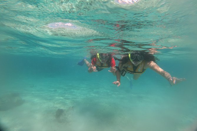 The most Intrepid Speedboat Adventure in Cancun Snorkel included - What the strongest guide feedback tells you