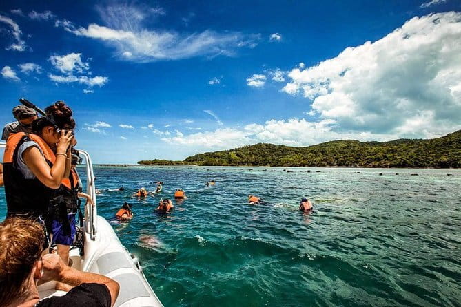 The Pigs Island snorkeling trip from Koh Samui by Speedboat - Who should book this trip?