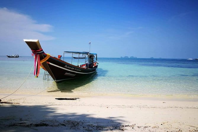 The Pigs Island snorkeling trip from Koh Samui by Speedboat - Koh Taen offers the main reef stop