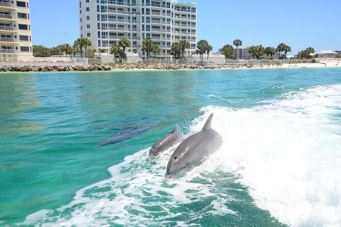 Thriller Speedboat Dolphin Tours in Destin Florida - Boarding at Slip A in Destin Harbor