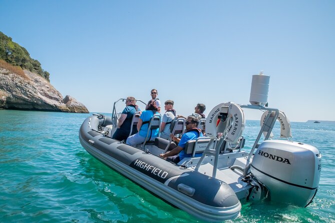 Torquay Coastal RIB Seafari - Thatcher Rock and the search for seals