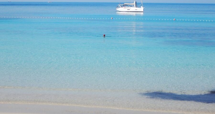 Trogir: White Lagoon, Maslinica & Blue Lagoon Speedboat Tour - Key points before you book