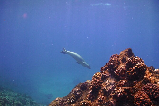 Ultimate Na Pali Coast Zodiac Boat Snorkeling and Sea Cave Tour - What the five hours feel like