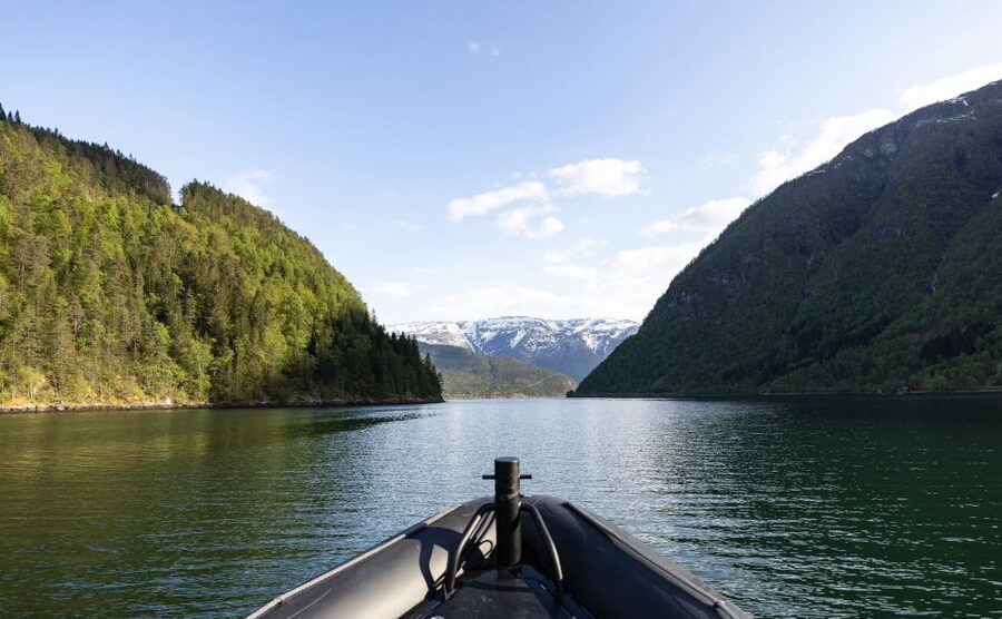 Ulvik: Hardangerfjord Ultimate RIB Tour - How The Speed And Silence Work Together