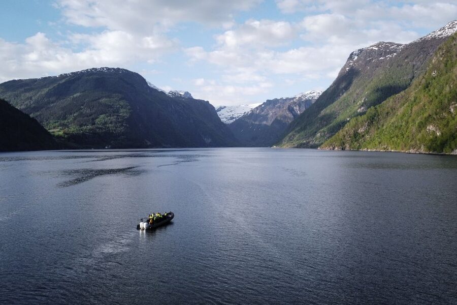 Ulvik: Hardangerfjord Ultimate RIB Tour - Who Should Book This Ulvik Boat Trip?